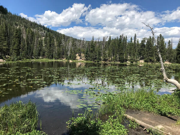 Nymph Lake